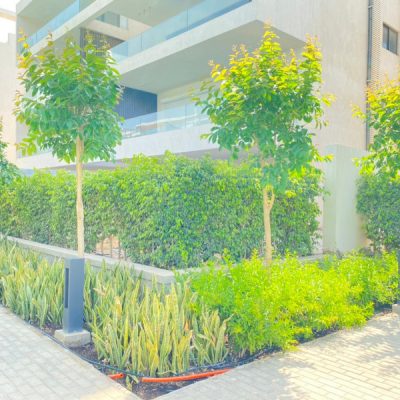 apartments in lakeview residence new cairo overlooking greenery