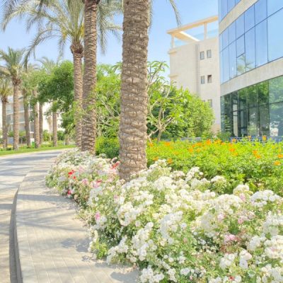 apartments in lakeview residence new cairo overlooking greenery and lake