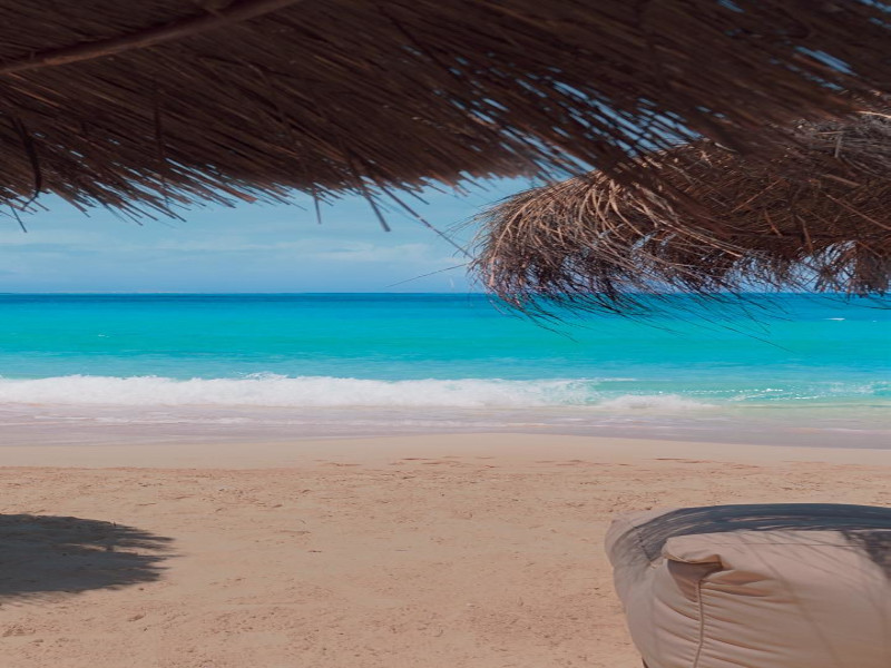 the sea of zoya ghazala bay north coast