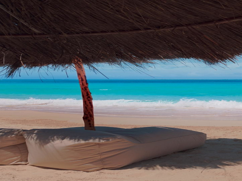 the sea of zoya ghazala bay north coast