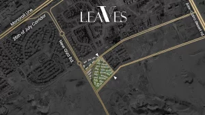 Leaves Compound Sheikh Zayed