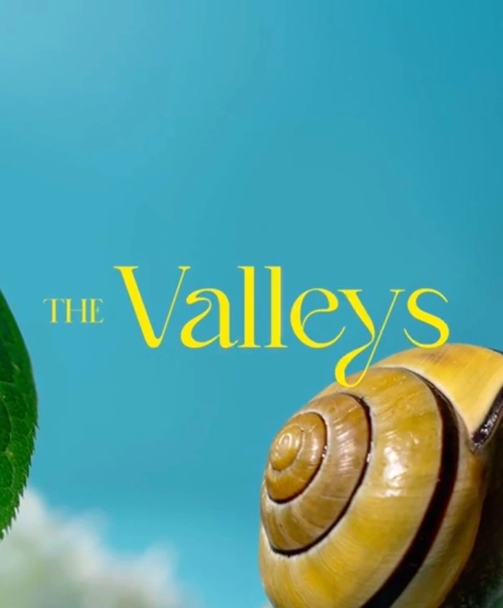 The Valleys Hassan Allam